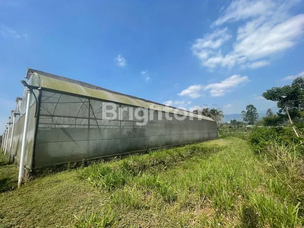 image TANAH GREEN HOUSE DI DESA PUNGGING PASURUAN (6)