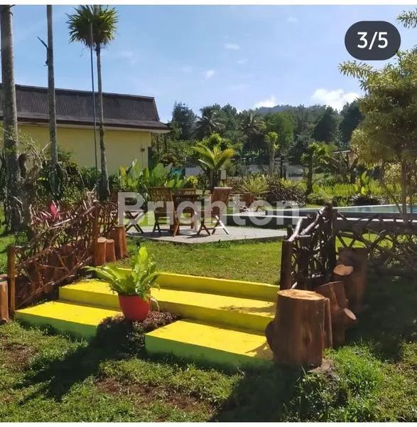 image HOTEL DAN VILLA DI PUNCAK BOGOR (5)