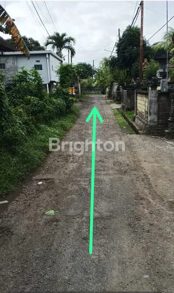 image DIJUAL TANAH DENGAN LOKASI SANGAT STRATEGIS DAN MURAH DI JALAN RAJAWALI KELURAHAN PENDEM  JEMBRANA BALI (3)
