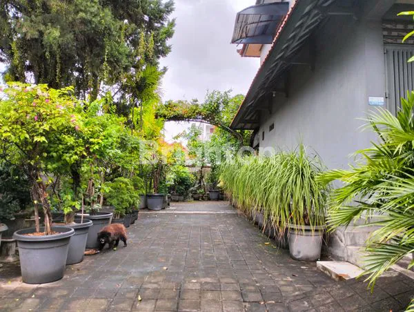 image RUKO HADAP UTARA IMB NON FURNISH DI DI TIBUNG SARI KEROBOKAN (8)