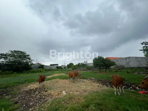 image TANAH PINGGIR JALAN 50 ARE PREMIUM AREA SESETAN  (1)