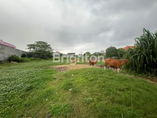 image TANAH PINGGIR JALAN 50 ARE PREMIUM AREA SESETAN  (4)