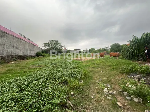 image TANAH PINGGIR JALAN 50 ARE PREMIUM AREA SESETAN  (2)