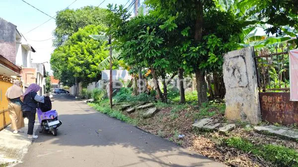 image TANAH LUAS 500 M  (2)