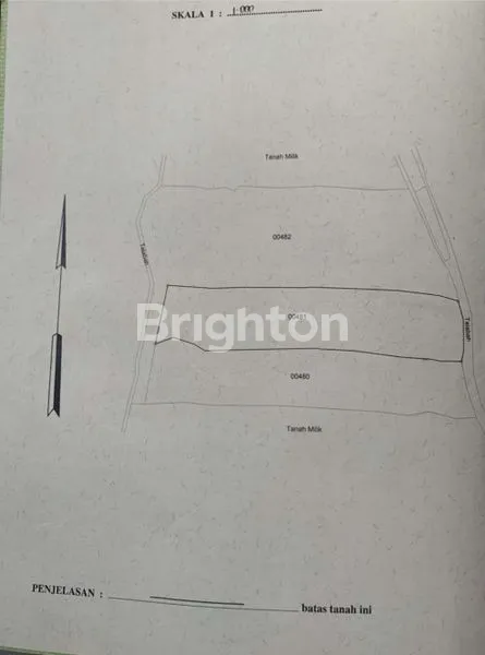 image TANAH SIAP BANGUN COCOK UNTUK VILLA DI PEJENG KANGIN TAMPAKSIRING (2)