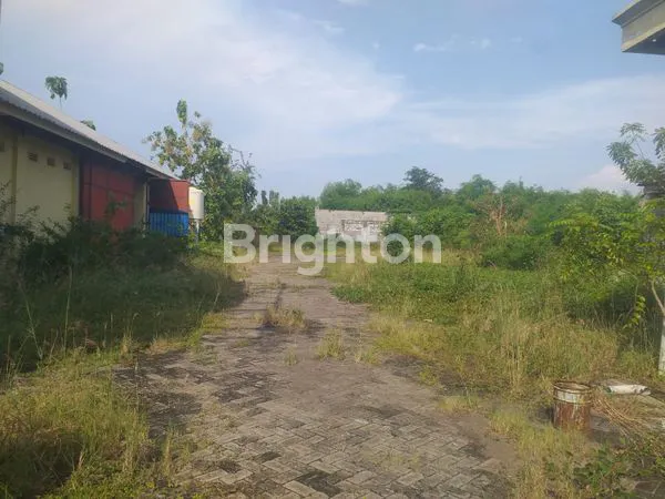 image JUAL TANAH+GUDANG CERME GRESIK (5)