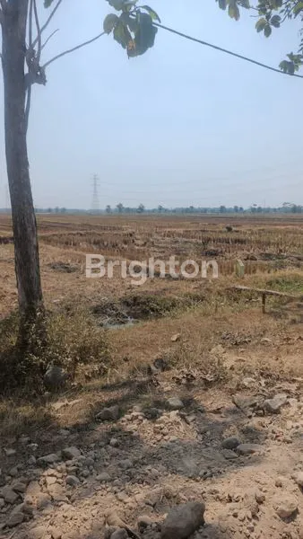 JUAL TANAH CARUBAN NGAWI