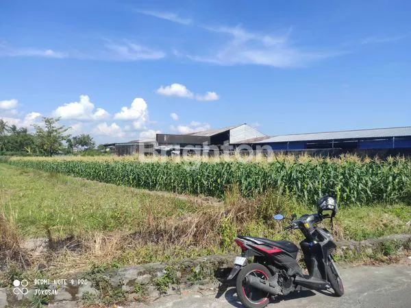 image TANAH SAWAH AREA KETARON, TAMANAGUNG, MUNTILAN. (1)
