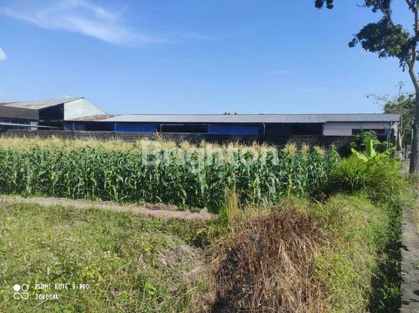 image TANAH SAWAH AREA KETARON, TAMANAGUNG, MUNTILAN. (2)