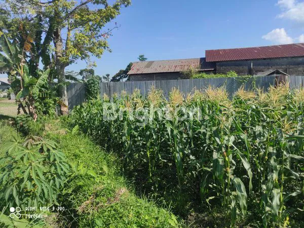 image TANAH SAWAH AREA KETARON, TAMANAGUNG, MUNTILAN. (3)