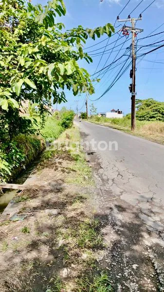 image TANAH AREA CANGGU (2)