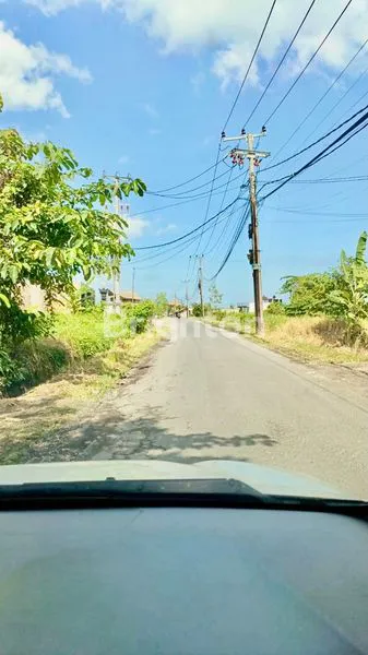 image TANAH AREA CANGGU (3)