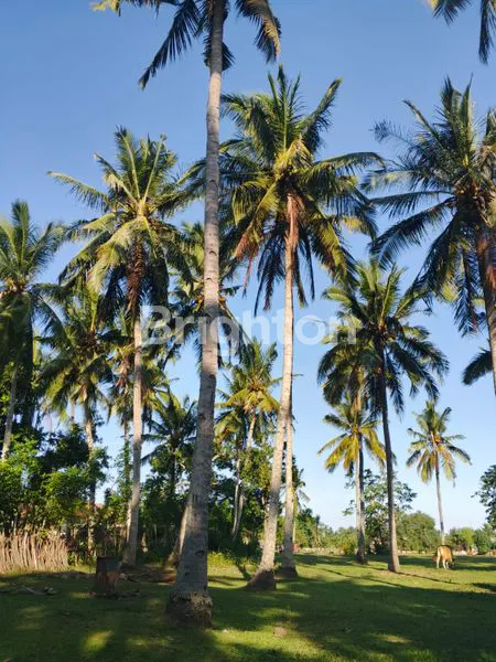 image DIJUAL TANAH DATAR LOS PANTAI DI KAWASAN INDUSTRI JEMBRANA BALI (2)