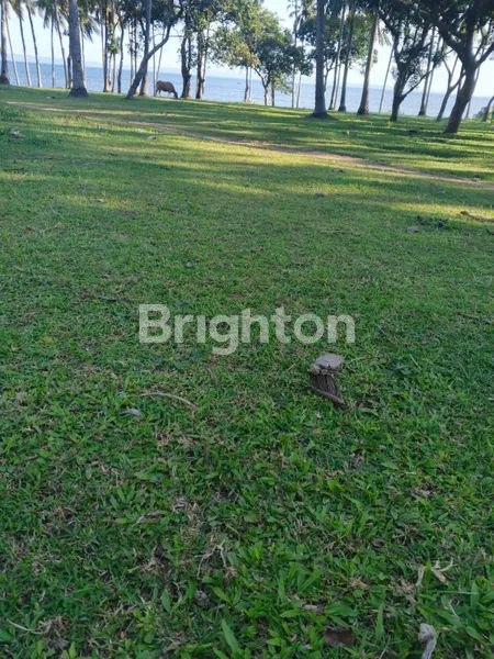 image DIJUAL TANAH DATAR LOS PANTAI DI KAWASAN INDUSTRI JEMBRANA BALI (3)