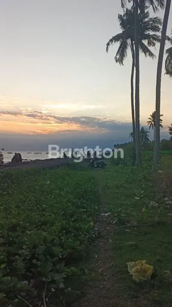 image DIJUAL TANAH DATAR LOS PANTAI DI KAWASAN INDUSTRI JEMBRANA BALI (6)