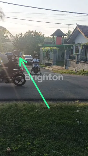 image DIJUAL TANAH DATAR LOS PANTAI DI KAWASAN INDUSTRI JEMBRANA BALI (8)