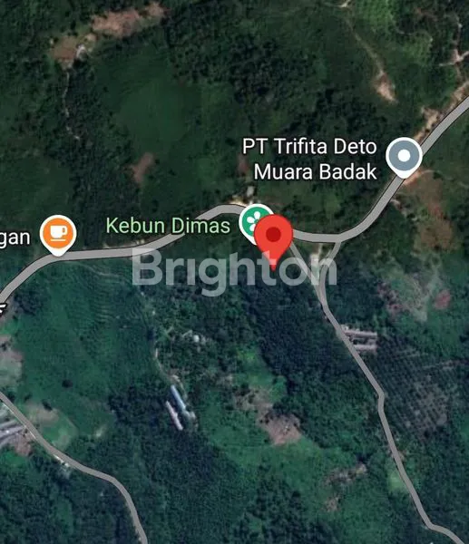 TANAH KEBUN DI LOKASI STRATEGIS DI MUARA BADAK