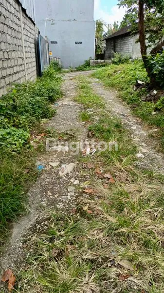 image TANAH 9 ARE DALUNG DENPASAR  (4)