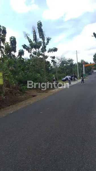 image TANAH DIJUAL PEKARANGAN STRATEGIS  (2)