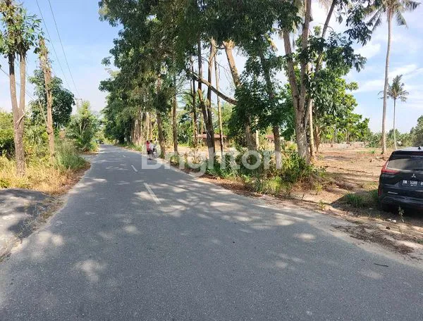 image TANAH PINGGIR JALAN ASPAL 1 HEKTAR (4)