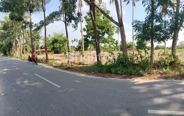 image TANAH PINGGIR JALAN ASPAL 1 HEKTAR (1)