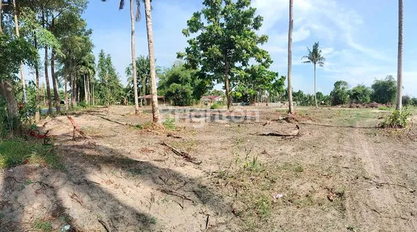 image TANAH PINGGIR JALAN ASPAL 1 HEKTAR (2)