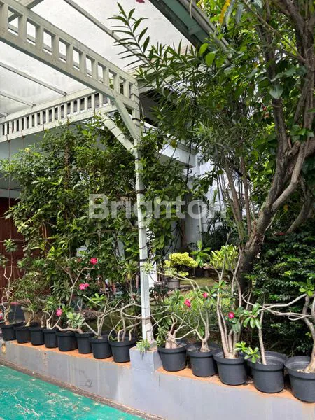 image RUMAH SECONDARY MENTENG JAKARTA PUSAT (2)