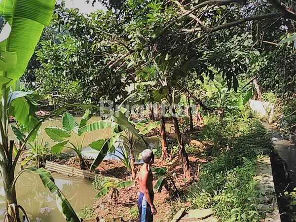 image TANAH  DAN EMPANG HARGA MURAH  (3)