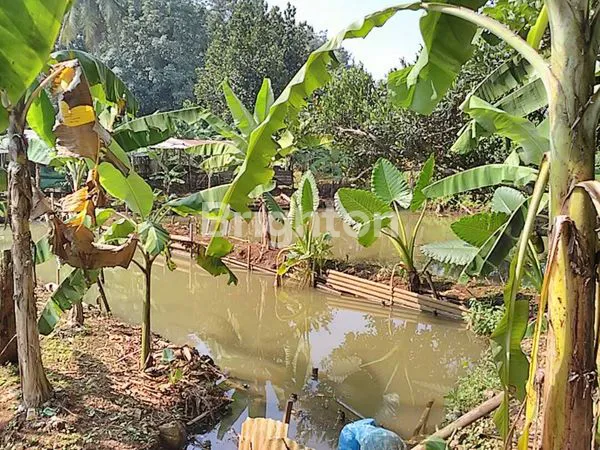 image TANAH  DAN EMPANG HARGA MURAH  (4)