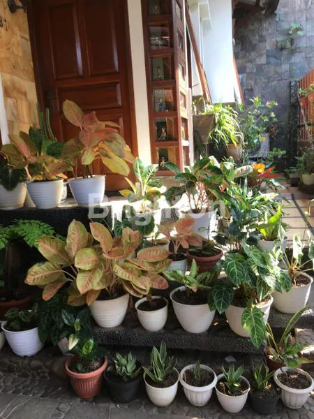 image RUMAH CANTIK SIAP HUNI (3)