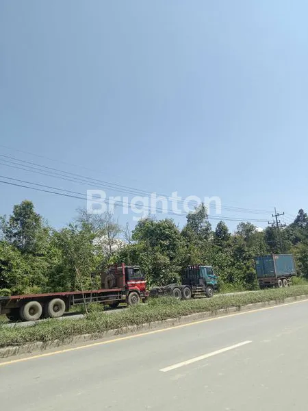 image LAHAN DI SEWA KAN KILO 13 DALAM  (1)