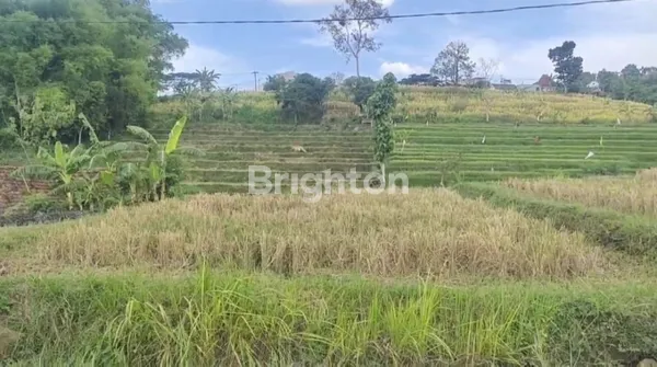 image DIJUAL TANAH 0M JL RAYA  TRAWAS, MOJOKERTO COCOK UTK RESTO, VILLA & SARANA WISATA LAINNYA (2)