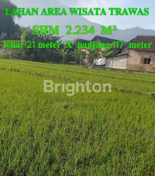 image DIJUAL TANAH 0M JL RAYA  TRAWAS, MOJOKERTO COCOK UTK RESTO, VILLA & SARANA WISATA LAINNYA (3)