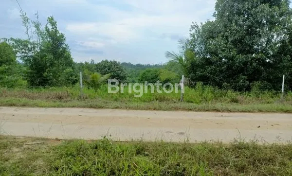 image TANAH KILO 13 PINGGIR JALAN RAYA DIJUAL (1)