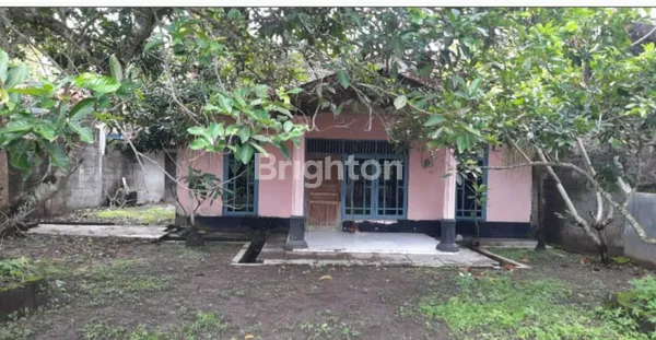 image RUMAH BANTUL HITUNG HARGA TANAH (2)