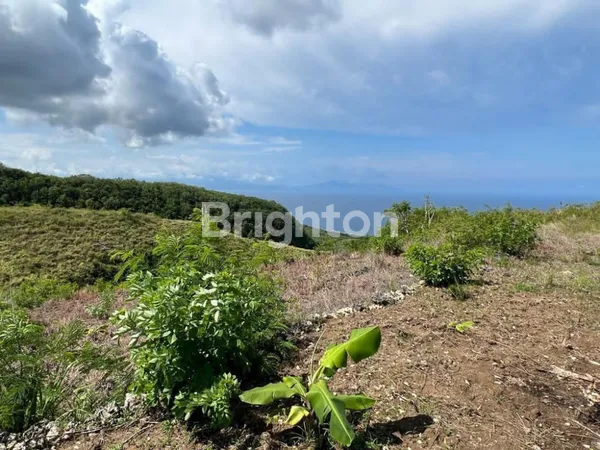 image TANAH OCEAN VIEW NUSA PENIDA, LOKASI STRATEGIS DENGAN HARGA SPESIAL (2)