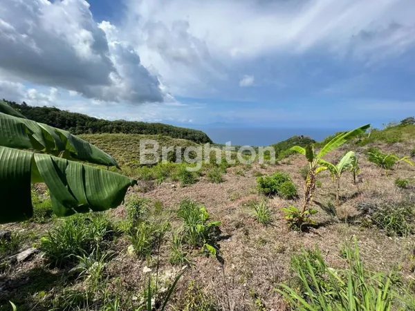 image TANAH OCEAN VIEW NUSA PENIDA, LOKASI STRATEGIS DENGAN HARGA SPESIAL (3)