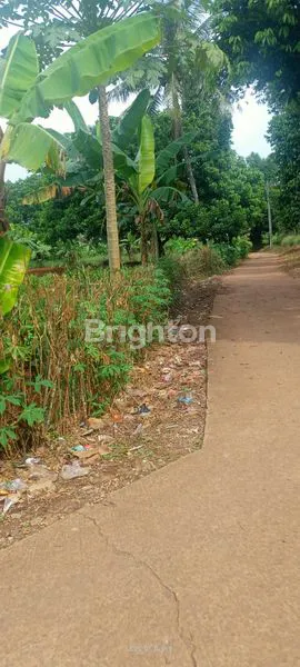 image TANAH STRATEGIS, POTENSIAL UNTUK WIRAUSAHA DI SETU BEKASI (2)
