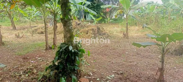 image TANAH STRATEGIS, POTENSIAL UNTUK WIRAUSAHA DI SETU BEKASI (7)