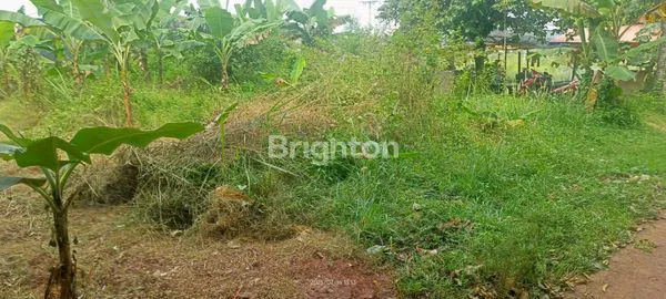 image TANAH STRATEGIS, POTENSIAL UNTUK WIRAUSAHA DI SETU BEKASI (4)