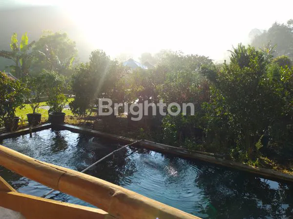 image VILLA MARIBAYA CIBODAS LEMBANG INVESTASI UNTUNG (6)