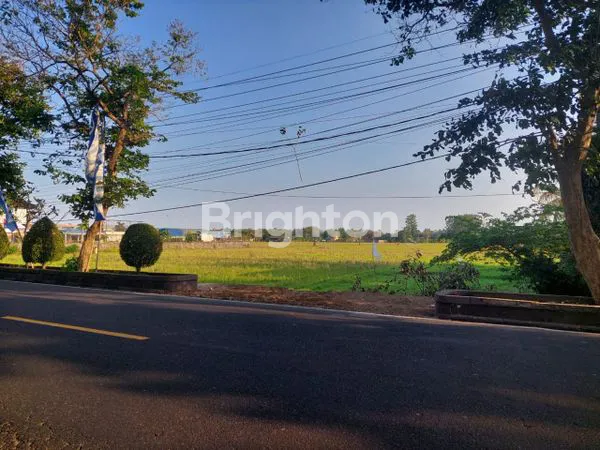 TANAH DIJUAL JALAN RAYA DENPASAR GILIMANUK, NEGARA, JEMBRANA, BALI