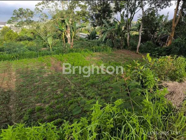 image TANAH 660 METER VIEW DANAU BERATAN – HARGA ISTIMEWA! (3)