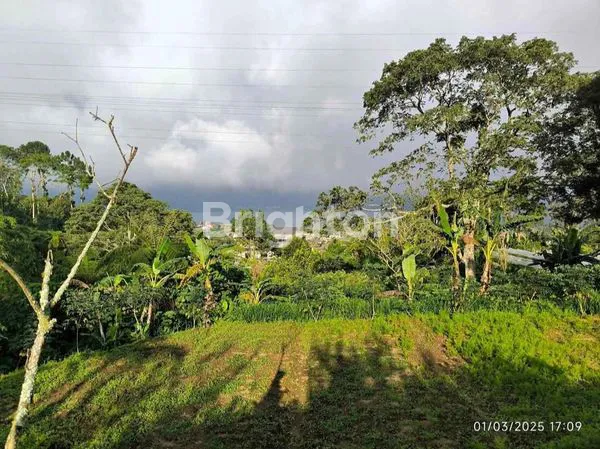 TANAH 660 METER VIEW DANAU BERATAN – HARGA ISTIMEWA!