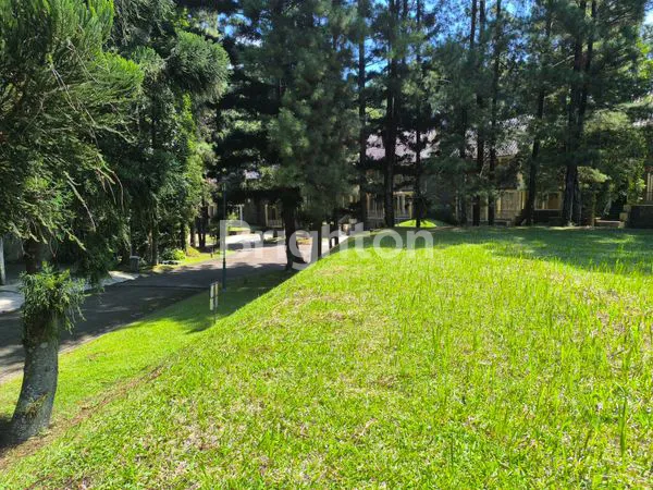 image KAVLING TANAH NUASA HUTAN CEMARA DI RANCAMAYA GOLF ESTATE BOGOR (6)