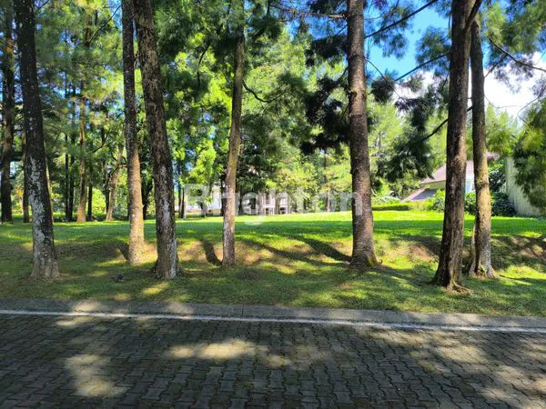 image KAVLING TANAH HUTAN CEMARA DI RANCAMAYA GOLF ESTATE BOGOR (1)