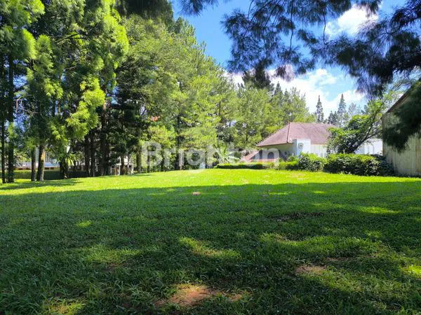 image KAVLING TANAH HUTAN CEMARA DI RANCAMAYA GOLF ESTATE BOGOR (3)