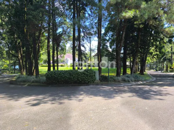 image KAVLING TANAH HUTAN CEMARA DI RANCAMAYA GOLF ESTATE BOGOR (2)