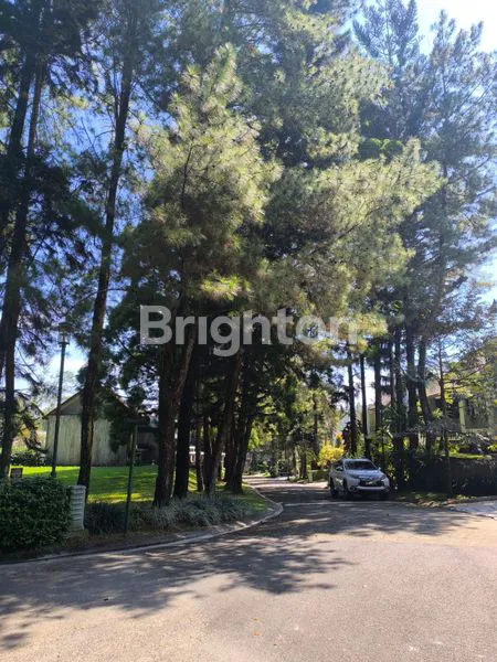 image KAVLING TANAH HUTAN CEMARA DI RANCAMAYA GOLF ESTATE BOGOR (7)