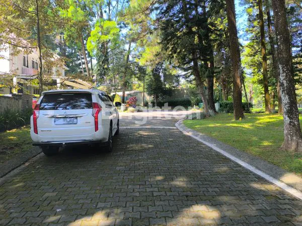 image KAVLING TANAH HUTAN CEMARA DI RANCAMAYA GOLF ESTATE BOGOR (5)